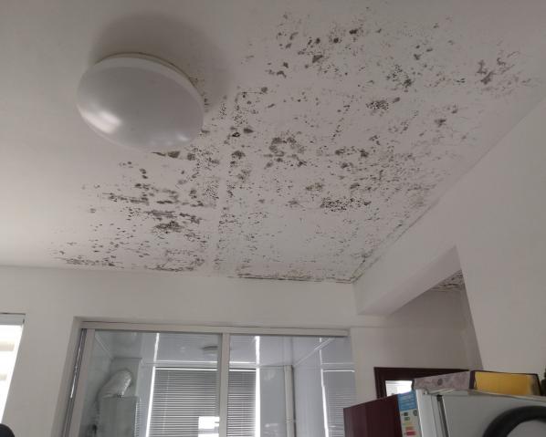 深化黨建推動引領(lǐng)，提升租戶居住幸福指數(shù)