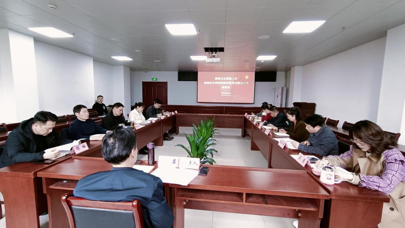 集團(tuán)公司召開(kāi)國(guó)有企業(yè)管理人員違規(guī)掛證兼職取酬問(wèn)題專(zhuān)項(xiàng)整治工作動(dòng)員會(huì)