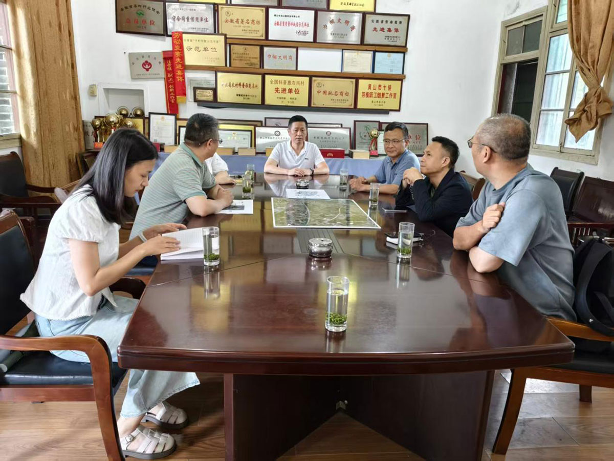江蘇外聯(lián)采考察團到實驗茶場考察，共商茶產(chǎn)業(yè)合作新藍圖