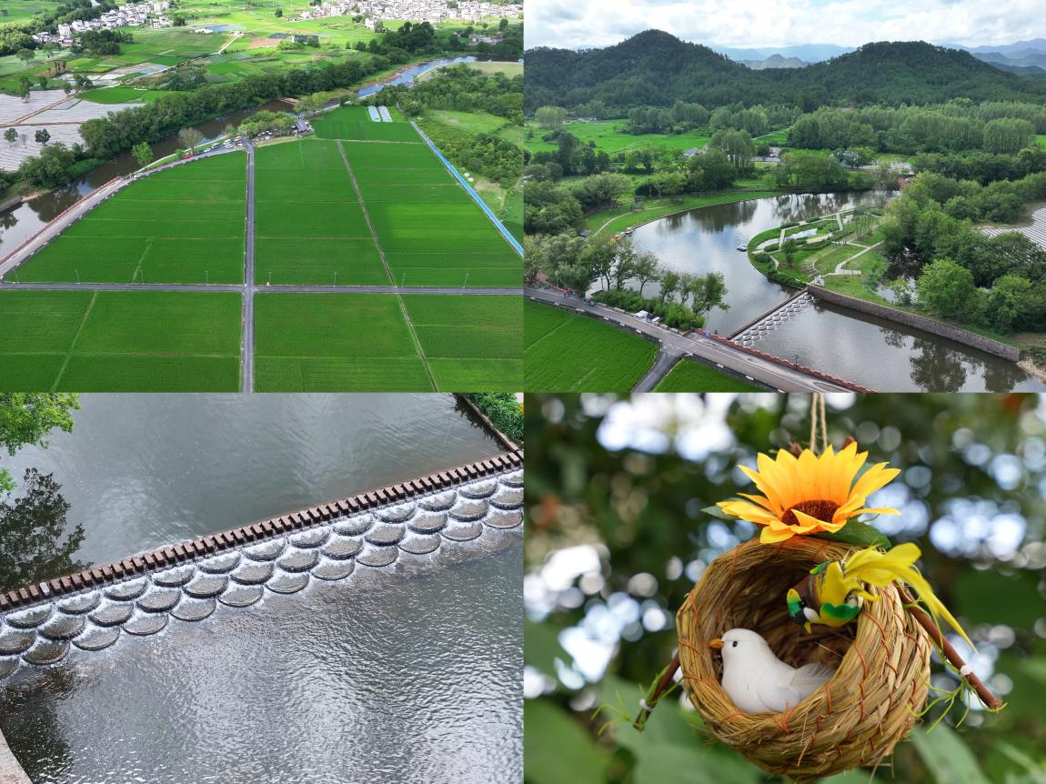 國企賦能鄉(xiāng)村振興 光影點(diǎn)亮文旅新篇