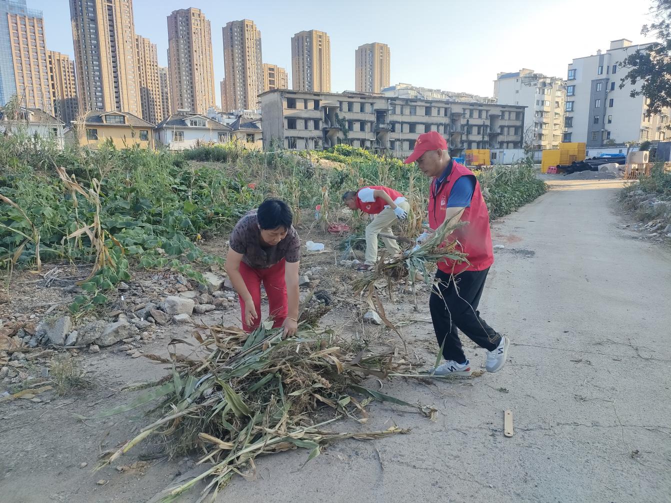 黨員進(jìn)社區(qū)：守護(hù)綠色家園，彰顯國企擔(dān)當(dāng)