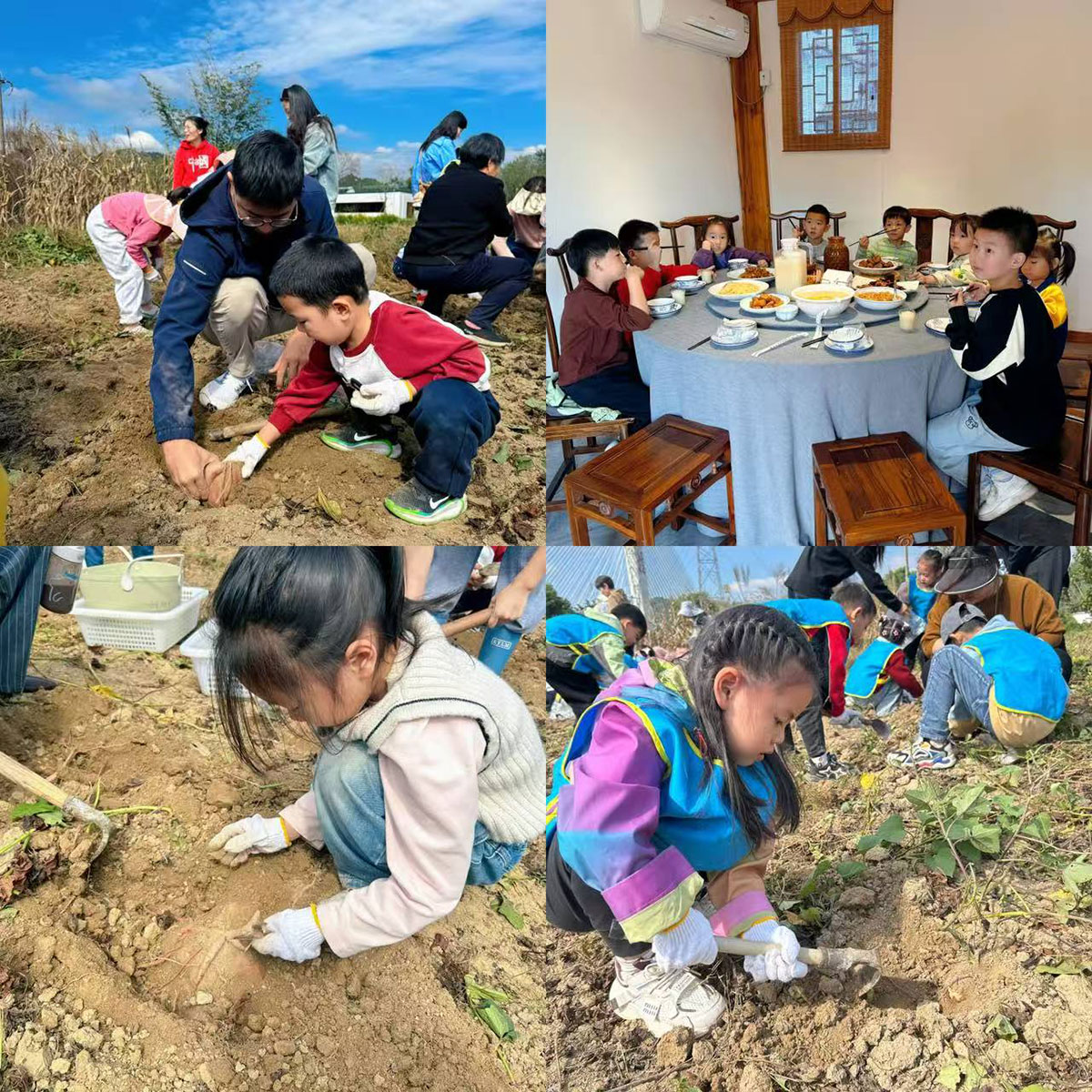 南溪南村：以薯為媒繪新景，活動(dòng)賦能興鄉(xiāng)村