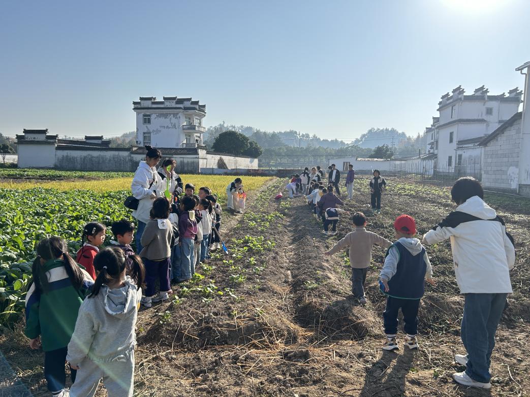 以“童”為橋促振興     農(nóng)耕體驗(yàn)樂翻天