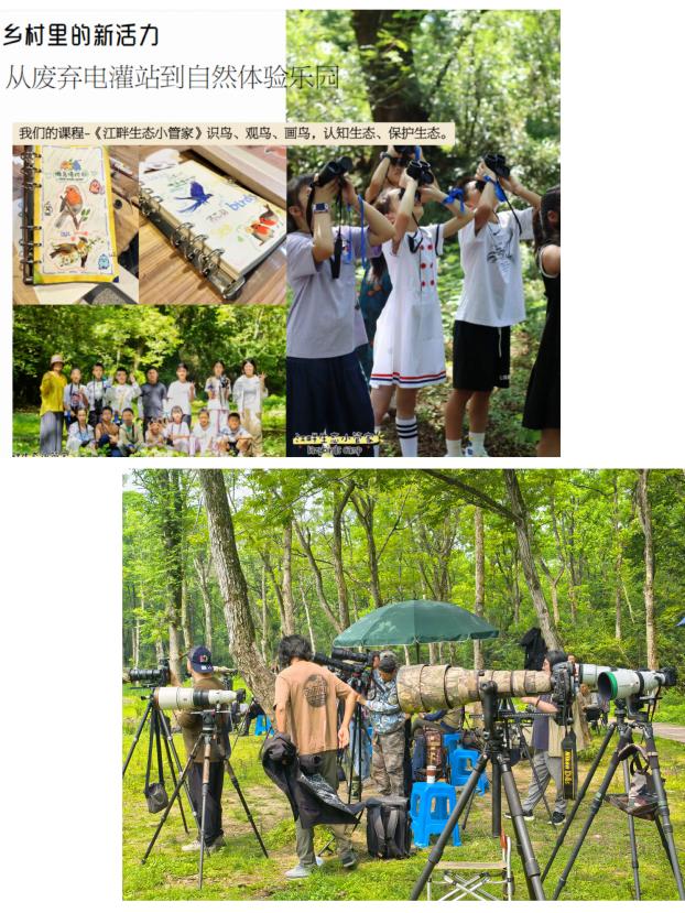 8000萬(wàn)熱度炸屏！屯溪“護(hù)村小祖宗”聯(lián)動(dòng)短劇頂級(jí)頭部平臺(tái)帶火綬帶鳥(niǎo)，短劇+文旅解鎖鄉(xiāng)村振興新密碼